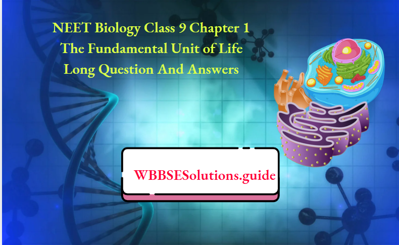 NEET Biology Class 9 Chapter 1 The Fundamental Unit of Life Long Question And Answers