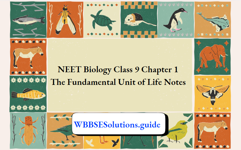 NEET Biology Class 9 Chapter 1 The Fundamental Unit of Life Notes