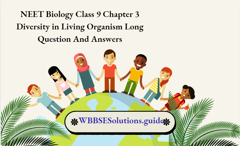 NEET Biology Class 9 Chapter 3 Diversity in Living Organism Long Question And Answers