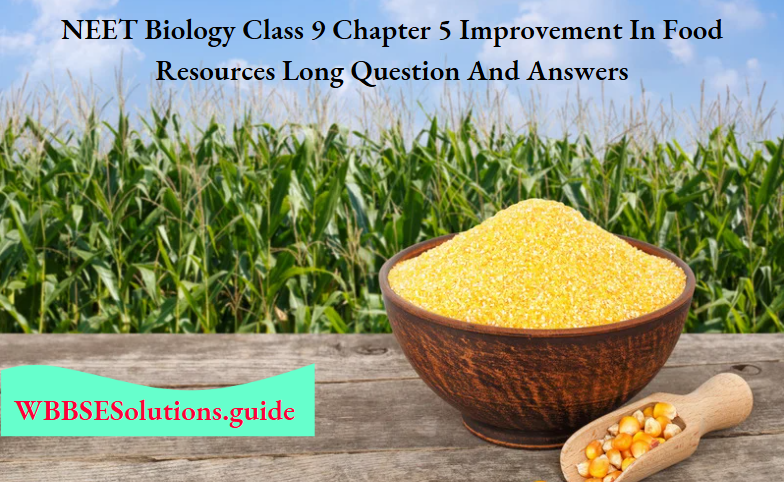NEET Biology Class 9 Chapter 5 Improvement In Food Resources Long Question And Answers