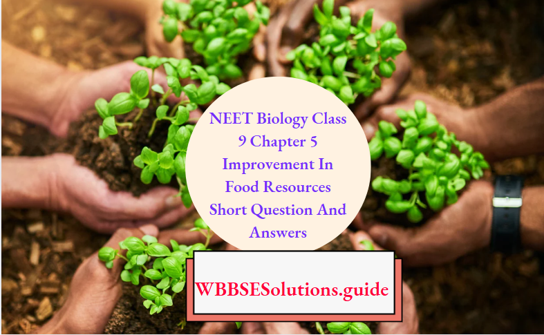 NEET Biology Class 9 Chapter 5 Improvement In Food Resources Short Question And Answers