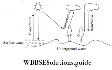 NEET Biology Natural Resources Water cycle