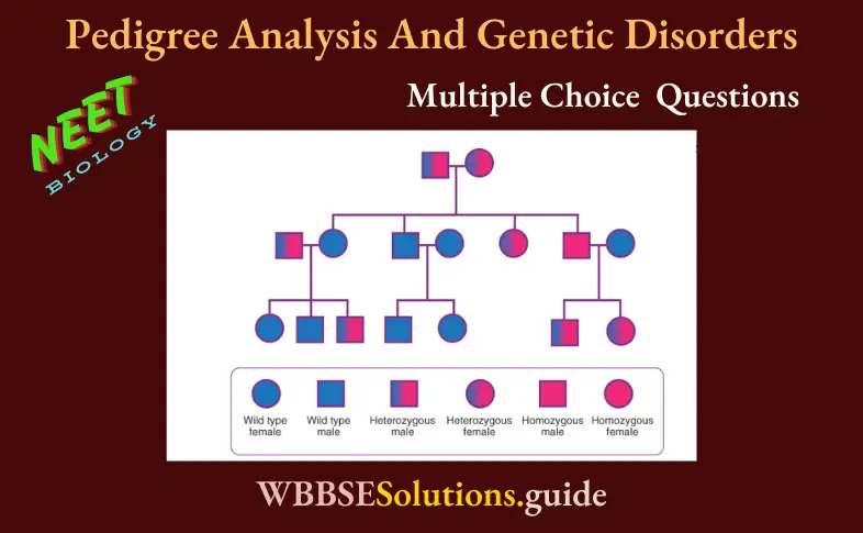 NEET Biology Pedigree Analysis And Genetic Disorders Multiple Choice Question And Answers