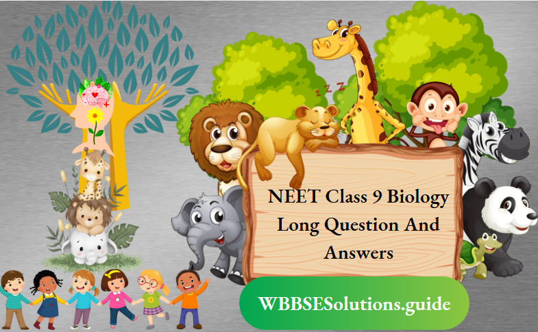 NEET Class 9 Biology Long Question And Answers