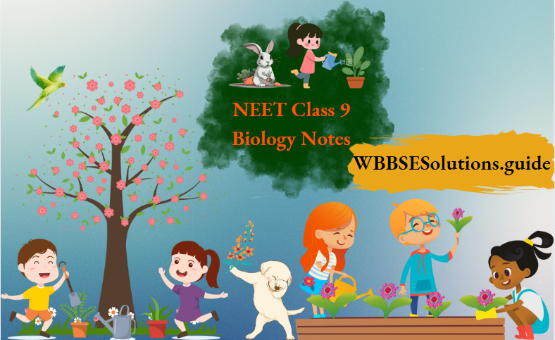NEET Class 9 Biology Notes