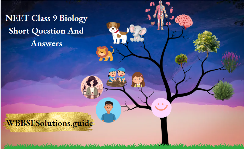 NEET Class 9 Biology Short Question And Answers