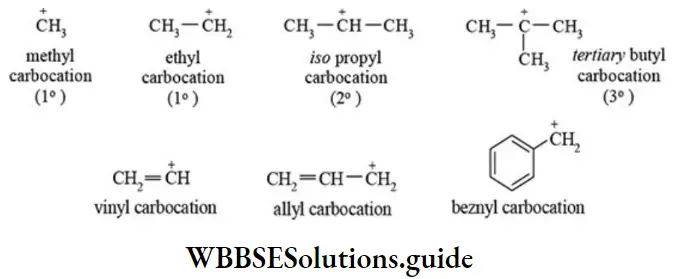 NEET General Organic Chemistry Concepts In Organic Reaction Mechanism Carbocation Reactions