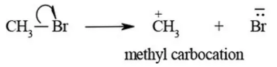 NEET General Organic Chemistry Concepts In Organic Reaction Mechanism Carbocation Structers