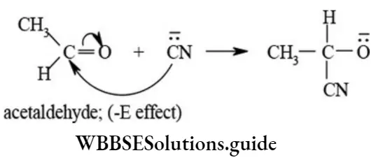 NEET General Organic Chemistry Concepts In Organic Reaction Mechanism -E Effect