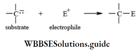 NEET General Organic Chemistry Concepts In Organic Reaction Mechanism Electrophiles