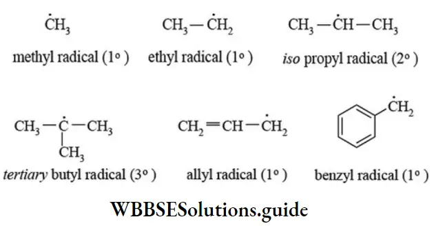 NEET General Organic Chemistry Concepts In Organic Reaction Mechanism Free Radicals Types
