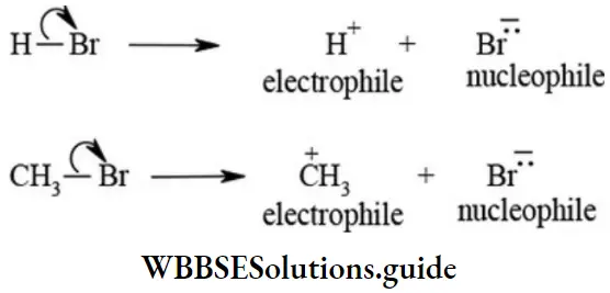 NEET General Organic Chemistry Concepts In Organic Reaction Mechanism Heterolytic Cleavage