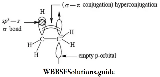 NEET General Organic Chemistry Concepts In Organic Reaction Mechanism Hyperconjugatrion Effect