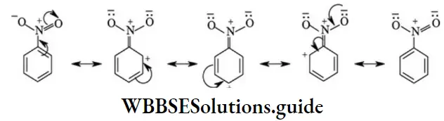 NEET General Organic Chemistry Concepts In Organic Reaction Mechanism Negative Resonance Depicted Nitrobenzene