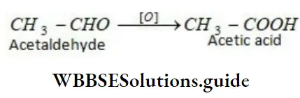 NEET General Organic Chemistry Introduction Notes Acetaldehyde