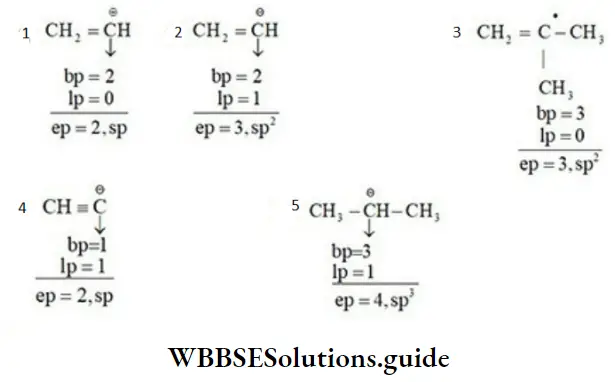 NEET General Organic Chemistry Introduction Notes Number lps In Prediction Of Hybridization
