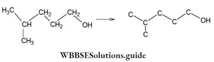 NEET General Organic Chemistry Introduction Notes Outline The Carbon Skeleton