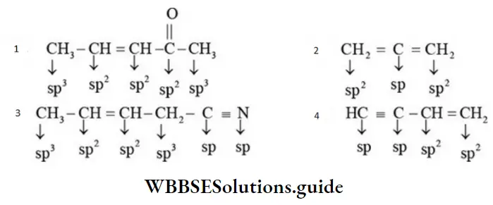 NEET General Organic Chemistry Introduction Notes Prediction Of Hybridization First Method Examples
