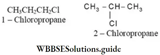 NEET General Organic Chemistry Isomerism Notes Alkyl Halides