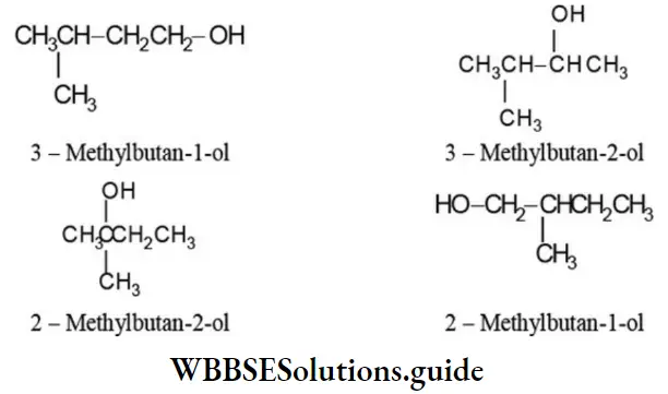 NEET General Organic Chemistry Isomerism Notes Four Monohydric Alochols