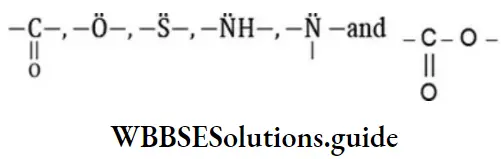 NEET General Organic Chemistry Isomerism Notes Metamerism