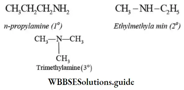 NEET General Organic Chemistry Isomerism Notes Primary Secondary And Tertiary Amines
