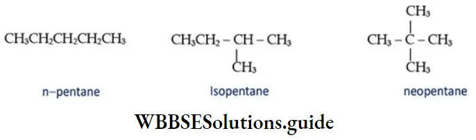NEET General Organic Chemistry Isomerism Notes Three Chain Isomers