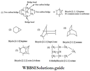 NEET General Organic Chemistry Naming Of Organic Compounds Containing A ...