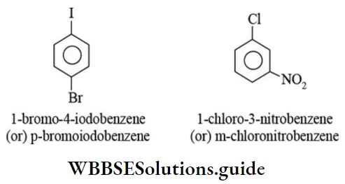 NEET General Organic Chemistry Naming Of Organic Compounds Containing A Functional Group Two Substituents Are Different