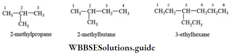 NEET General Organic Chemistry Nomenclature Of Organic Compounds E Parent Chain With One Substituent