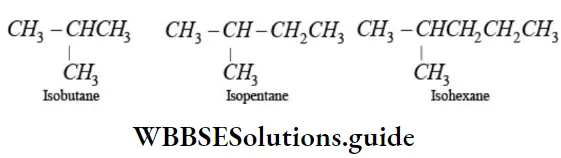 NEET General Organic Chemistry Nomenclature Of Organic Compounds Eprefix Iso