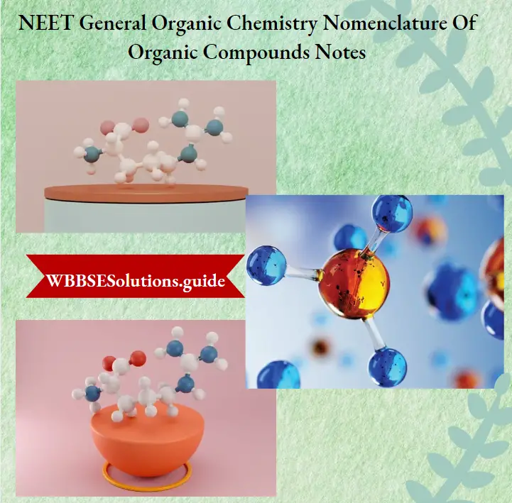 NEET General Organic Chemistry Nomenclature Of Organic Compounds Notes