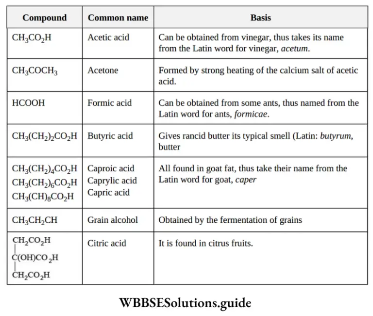 Neet General Organic Chemistry Nomenclature Of Organic Compounds Notes 