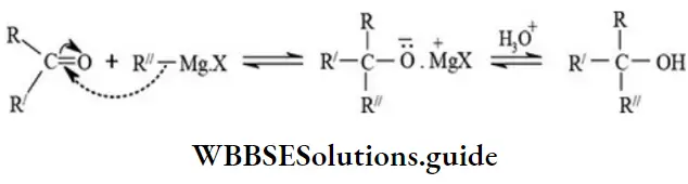 NEET General Organic Chemistry Types Of Organic Reactions Addition Og Grignard Reagent