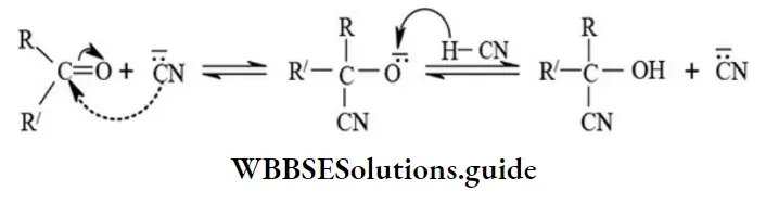 NEET General Organic Chemistry Types Of Organic Reactions AdditionOf Hydrogen Cyanide