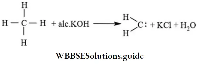 NEET General Organic Chemistry Types Of Organic Reactions Alpha Elimination