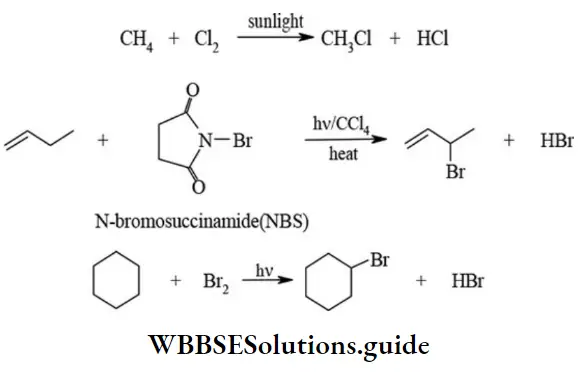 NEET General Organic Chemistry Types Of Organic Reactions Free Radical Substitution