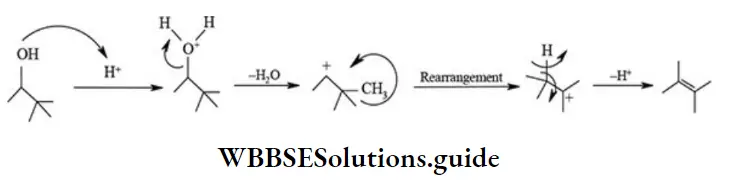 NEET General Organic Chemistry Types Of Organic Reactions Rearrangement Reactions