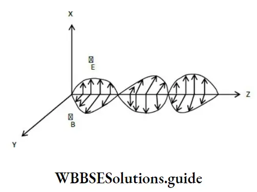 NEET Physics Electromagnetic Waves Representation of An Electromagnetic Wave