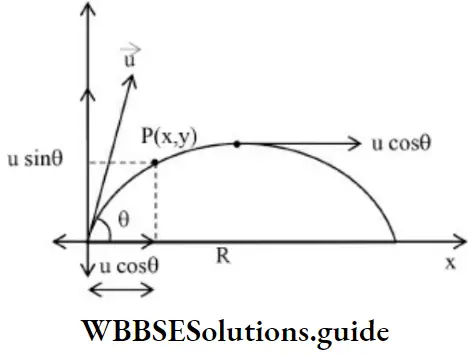 NEET Physics Motion In A Plane Oblique ProJectile