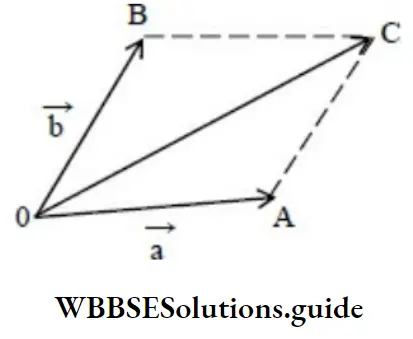 NEET Physics Vectors Parallelogram Law Of vector Addition