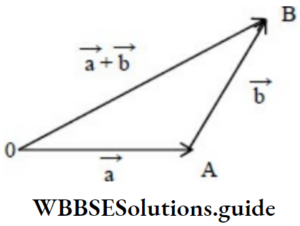 NEET Physics Vector Notes - WBBSE Solutions