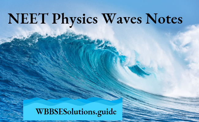 NEET Physics Waves Notes
