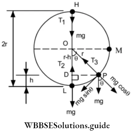 NEET Physics Work Energy And Power Vertical Circle