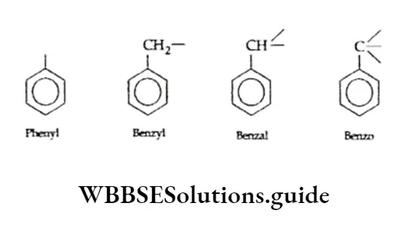 Basic Chemistry Class 11 Chapter 12 Organic Chemistry—Some Basic Principles And Techniques Notes Benzene Derivatives