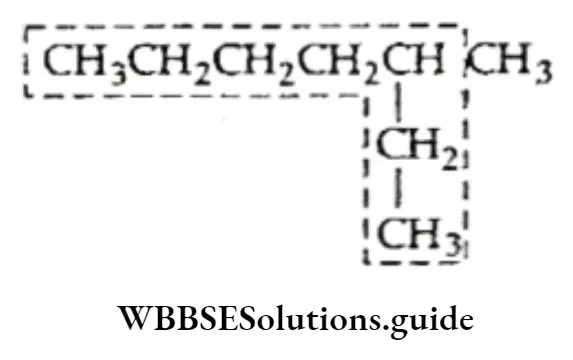 Basic Chemistry Class 11 Chapter 12 Organic Chemistry—Some Basic Principles And Techniques Notes Branched Chain Alkanes 2
