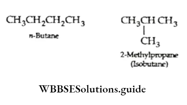 Basic Chemistry Class 11 Chapter 12 Organic Chemistry—Some Basic Principles And Techniques Notes Chain Isomerism