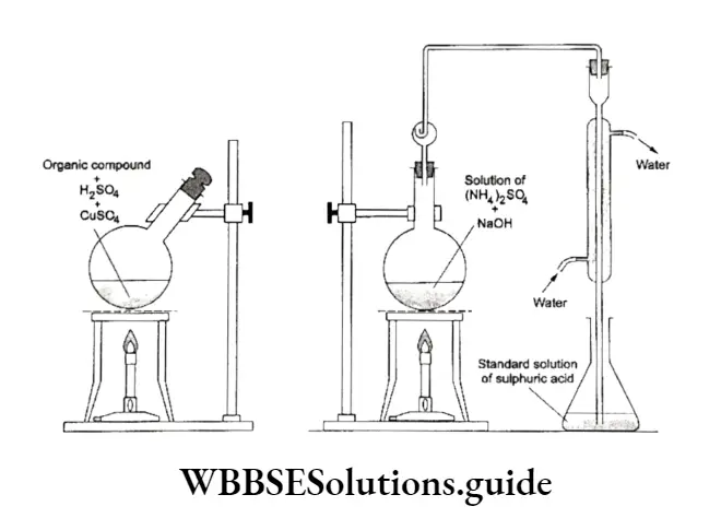 Basic Chemistry Class 11 Chapter 12 Organic Chemistry—Some Basic Principles And Techniques Notes Estimation Of Nitrogen By Kjeldahl Method