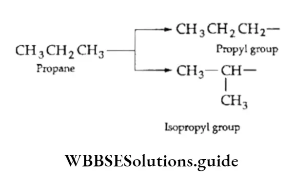 Basic Chemistry Class 11 Chapter 12 Organic Chemistry—Some Basic Principles And Techniques Notes Group Of Hyphens 8