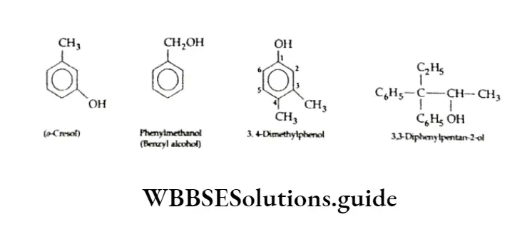 Basic Chemistry Class 11 Chapter 12 Organic Chemistry—Some Basic Principles And Techniques Notes Hydroxy Derivatives